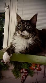 IMG_6797.jpeg
