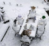 20251216_104239.gif