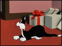 infokomposter-innocent-cat.gif