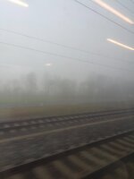 1766046909309950948832397389212.jpg 1766046909309950948832397389212.jpg