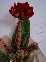 20251215_113511.jpg