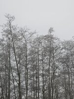 1000104687.jpg