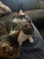 IMG_9435.jpeg