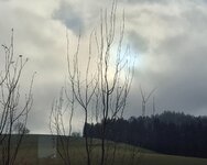 20251221_133839.jpg