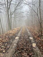 IMG_5194.jpeg