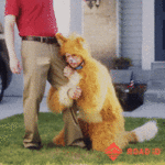 200w.gif