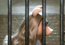 miss-piggy-jail.png