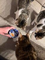 IMG_0520.jpeg