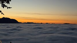 20251221_162619.jpg