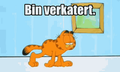 1766493902453.png