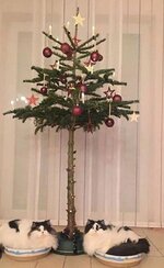 Screenshot_20251224_085009_Samsung Internet.jpg