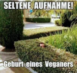 Screenshot 2024-01-11 172157.png