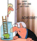 Screenshot 2024-01-11 172411.png