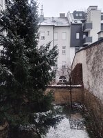 IMG_20251224_104911.jpg