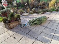 20251224_120238.jpg 20251224_120238.jpg