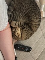 IMG_0562.jpeg IMG_0562.jpeg