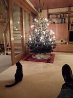 20251224_212526.jpg 20251224_212526.jpg