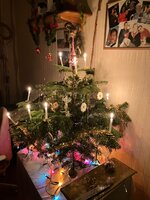 IMG_1515.jpeg