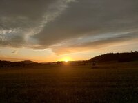 IMG_20250916_185511.jpg