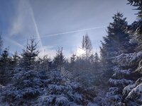 IMG_20251226_102615.jpg