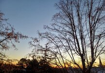 20251227 (2).jpg