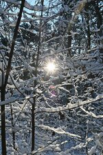 DSC_1497.jpg