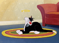 sylvester-looney-tunes.gif