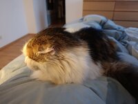 IMG_20251229_080640.jpg
