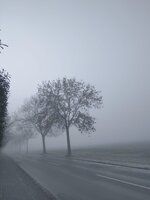 WhatsApp Image 2025-12-28 at 10.34.39.jpeg