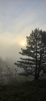 20250920_073202.jpg