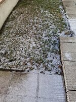 20251230_115605.jpg