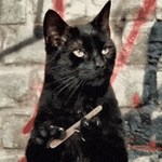 do-i-care-idc.gif