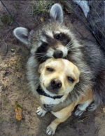 Lieb 2024-07-15 um 14.17.16.png