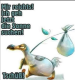 Screenshot 2024-01-17 101429.png