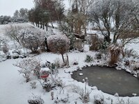 20260104_084941.jpg