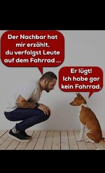 4b779d43-f876-4f85-96f2-e9ecfd9ca149.jpeg