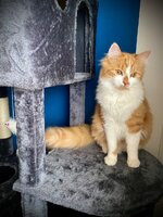 IMG_1292.jpeg