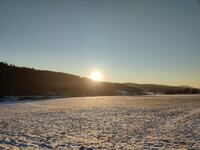 IMG_20251227_153532.jpg