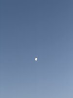 IMG_2231.jpeg