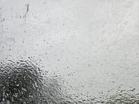 1000108630.jpg