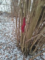 20260109_105143.jpg