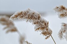 DSC_2826.jpg