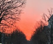 IMG_4092.jpeg