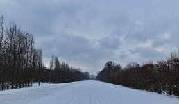 DSC_3279.jpg