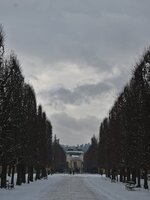 DSC_3161.jpg
