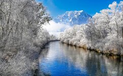 IMG_5169.jpeg