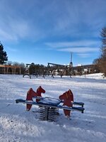 20260111_102243.jpg
