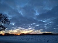 WhatsApp Image 2026-01-11 at 12.32.18.jpeg