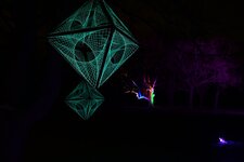 DSC_8288.jpg