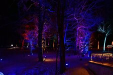 DSC_8241.jpg